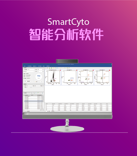 应用软件