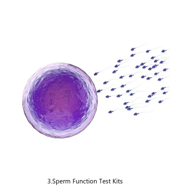 3.Sperm Function Test Kits